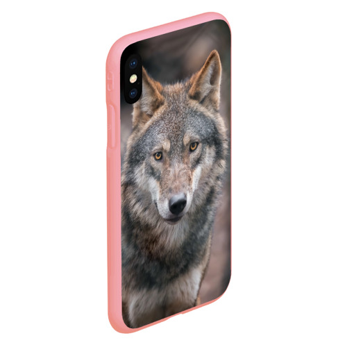 Чехол для iPhone XS Max матовый Wolf, цвет баблгам - фото 3