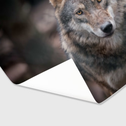 Бумага для упаковки 3D Wolf - фото 2