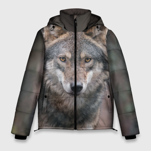 Куртка волки мужская. Куртка Wolf. Куртка с волком. Куртка зимняя волк.