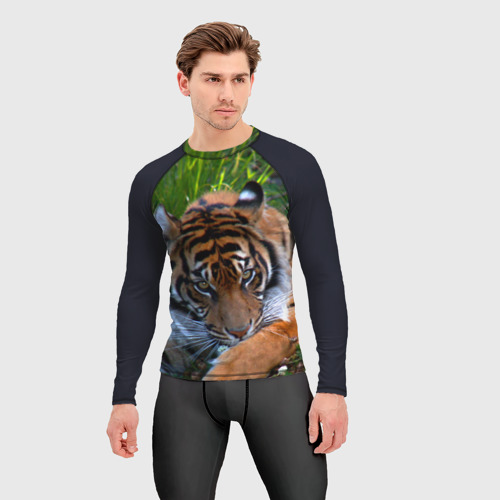 Мужской рашгард 3D Скромный тигр, цвет 3D печать - фото 3