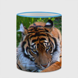 Кружка с полной запечаткой Скромный тигр - фото 2