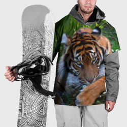 Накидка на куртку 3D Скромный тигр