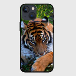 Чехол для iPhone 13 mini Скромный тигр