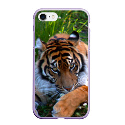 Чехол для iPhone 7/8 матовый Скромный тигр