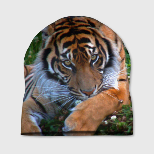 Шапка 3D Скромный тигр