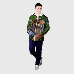 Мужская куртка 3D Скромный тигр - фото 2