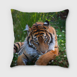 Подушка 3D Скромный тигр