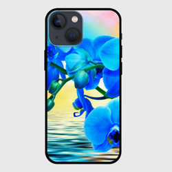 Чехол для iPhone 13 mini Орхидеи