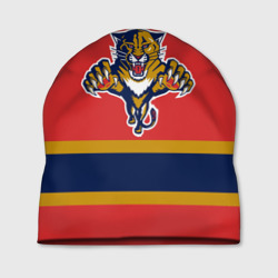 Шапка 3D Florida Panthers