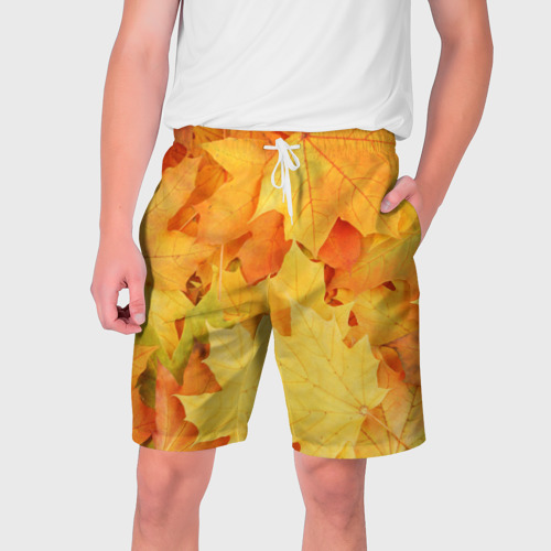 Мужские шорты 3D Листья, цвет 3D печать