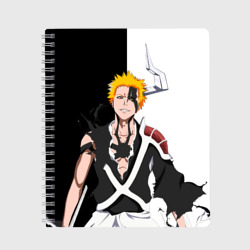 Тетрадь Ичиго Куросаки. Bleach