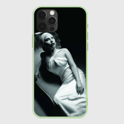 Чехол для iPhone 12 Pro Lady Gaga