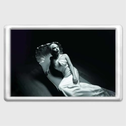 Магнит 45*70 Lady Gaga