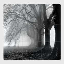 Магнитный плакат 3Х3 Туман в лесу - вековые деревья