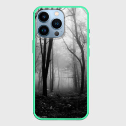 Чехол для iPhone 13 Pro Туман в лесу