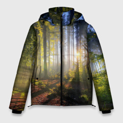 Мужская зимняя куртка 3D Утро в лесу