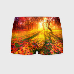 Мужские трусы 3D Осенний огненный лес