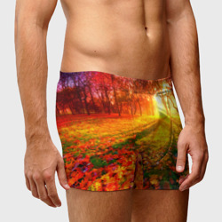 Мужские трусы 3D Осенний огненный лес - фото 2