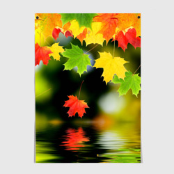 Постер Осень - листья клена