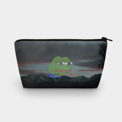 Косметичка 3D Sad frog Pepe