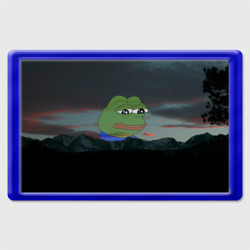 Магнит 45*70 Sad frog