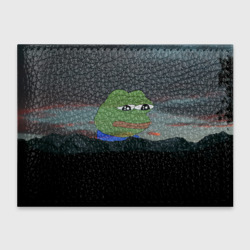 Обложка для студенческого билета Sad frog