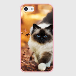 Чехол для iPhone 5/5S матовый Котик в листьях