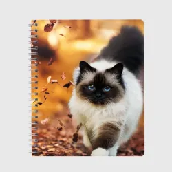 Тетрадь Котик в листьях