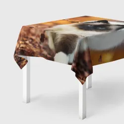 Скатерть 3D Котик в листьях
