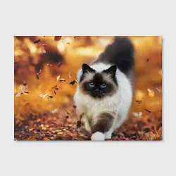 Холст прямоугольный Котик в листьях - фото 2