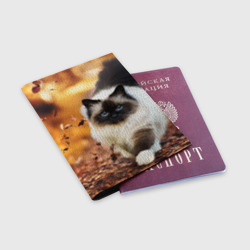 Обложка для паспорта матовая кожа Котик в листьях - фото 2