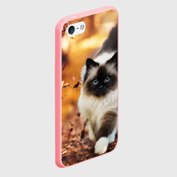 Чехол для iPhone 5/5S матовый Котик в листьях - фото 2