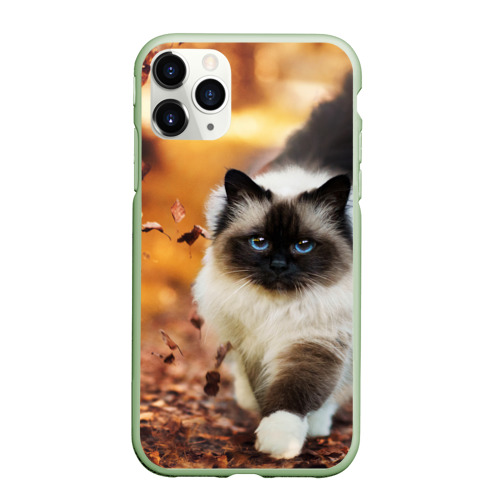 Чехол для iPhone 11 Pro матовый Котик в листьях, цвет салатовый