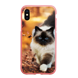 Чехол для iPhone XS Max матовый Котик в листьях