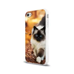 Котик в листьях