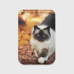 Картхолдер Magsafe магнитный Котик в листьях