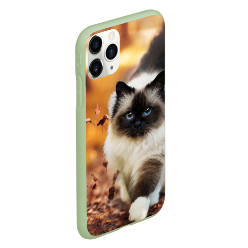 Чехол для iPhone 11 Pro матовый Котик в листьях, цвет салатовый - фото 3