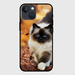 Чехол для iPhone 13 mini Котик в листьях