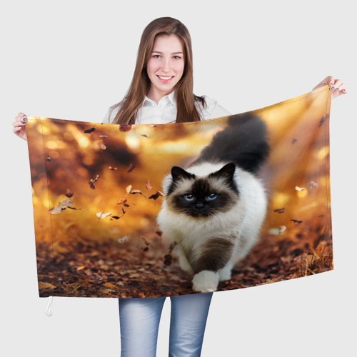Флаг 3D Котик в листьях