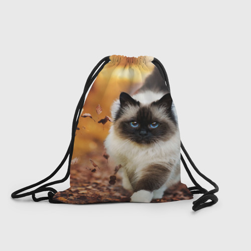Рюкзак-мешок 3D Котик в листьях