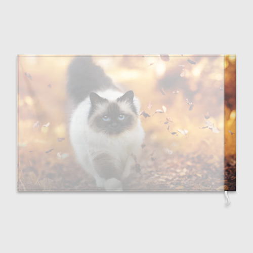 Флаг 3D Котик в листьях - фото 2