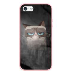 Чехол для iPhone 5/5S матовый Grumpy Cat