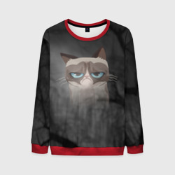 Мужской свитшот 3D Grumpy Cat