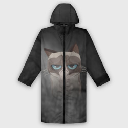 Мужской дождевик 3D Grumpy Cat