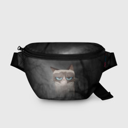 Поясная сумка 3D Grumpy Cat