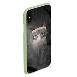 Чехол для iPhone XS Max матовый Grumpy Cat - фото 2