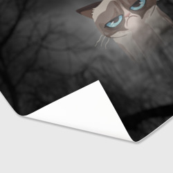 Бумага для упаковки 3D Grumpy Cat - фото 2