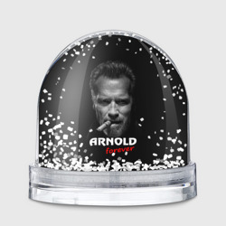 Игрушка Снежный шар Arnold forever