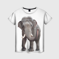 Женская футболка 3D Слон VPPDGryphon