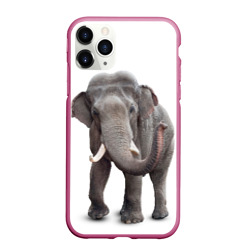 Чехол для iPhone 11 Pro Max матовый Слон vppdgryphon